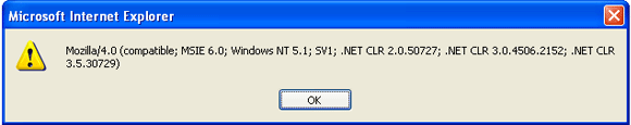 .NET Framework Versie popup